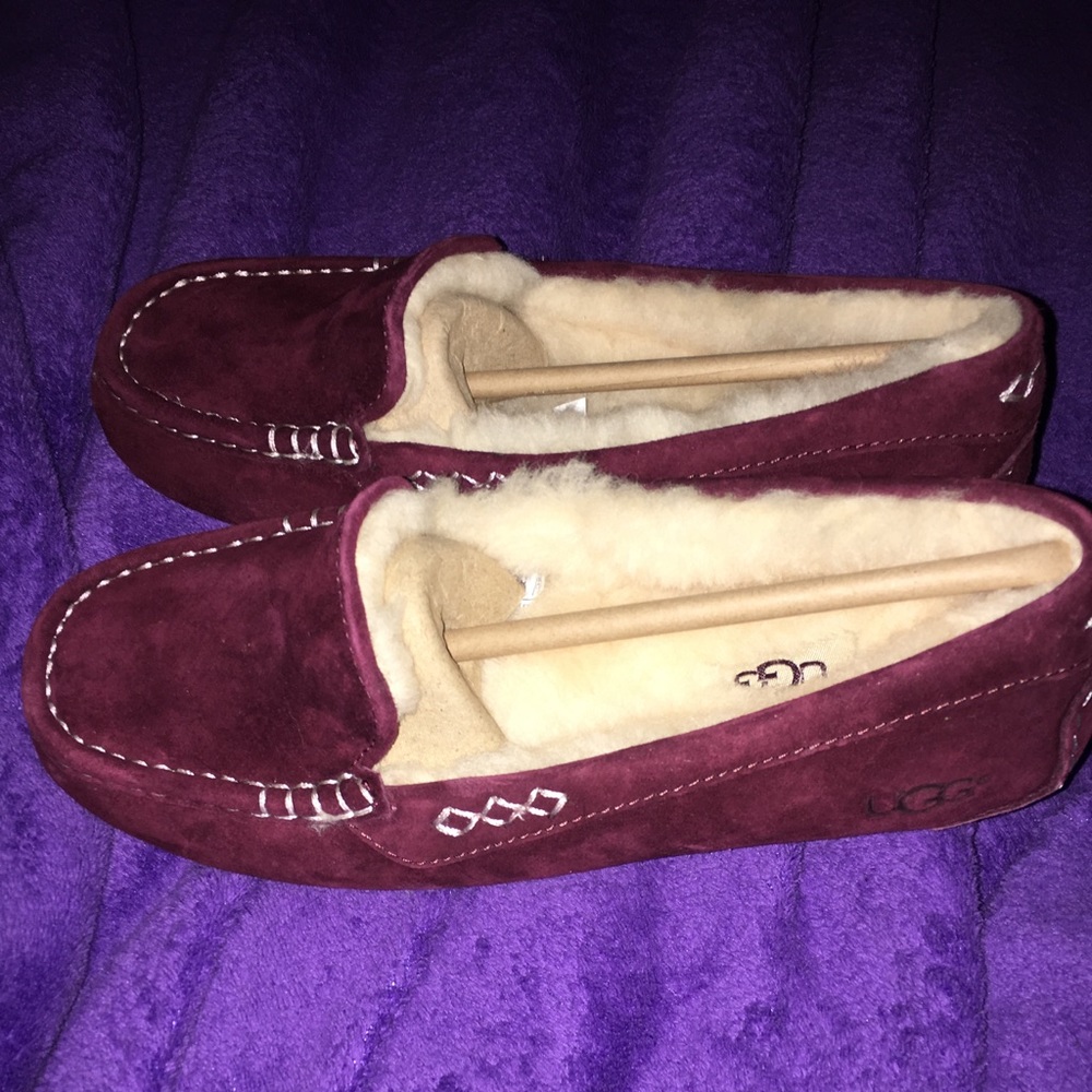 NIB Ugg Ansley